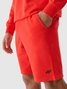4F Herren 4F Shorts