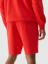 4F Herren 4F Shorts