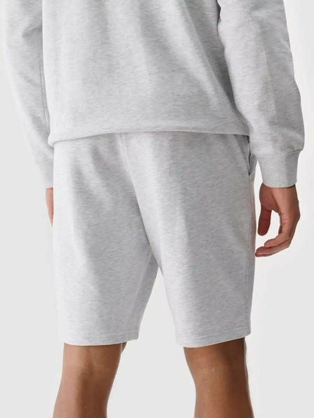 4F Herren 4F Shorts