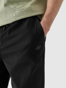 4F Herrenhose 4F