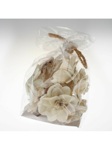 Casa de Engel Dried Flowers - Set of 10 pcs, 0/15