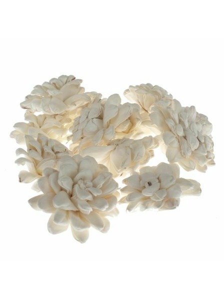Casa de Engel Dried Chrysanthemum - Set of 12pcs, 0/40