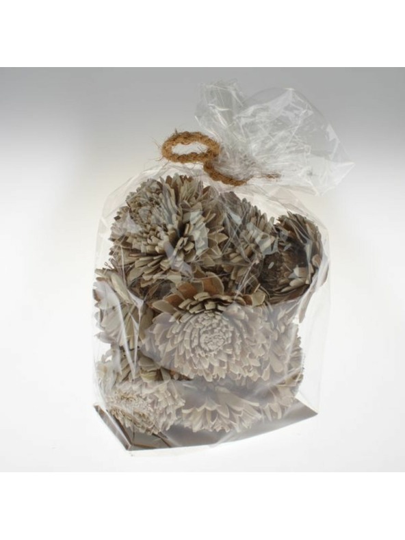 Casa de Engel Dried Flowers - Set of 15 pcs, 0/15