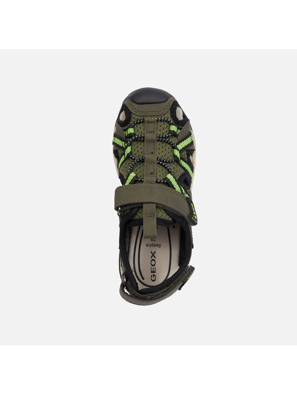 Geox Graue Geox Borealis Sandalen für Jungen
