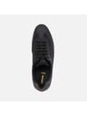 Geox Schwarz Herren Geox Avery Turnschuhe