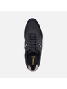 Geox Dunkelblau Herren Geox Avery Turnschuhe