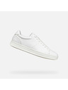 Geox Weiß Herren Geox Baltmoore Turnschuhe