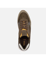Geox Hellgrüne Herrenturnschuhe Geox Branthon