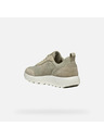 Geox Beige Herren Turnschuhe Geox Xtors