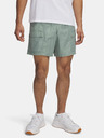 Under Armour Herren Under Armour UA Icon Volley Cargo Shorts