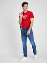 GAP Herren Jeans Slim Taper GapFlex GAP