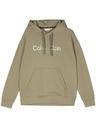 Calvin Klein Herren grüner Kapuzenpullover Calvin Klein Diffused