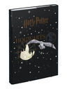 BAAGL  A4 Harry Potter Hogwarts Wappen Baagl