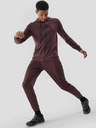 4F Sport-Kapuzenpullover für Männer 4F
