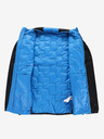 ALPINE PRO Herren Merino-Kapuzenpullover ALPINE PRO JORW blau