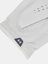 Under Armour Herren Under Armour UA Tour Golf Handschuh-WHT