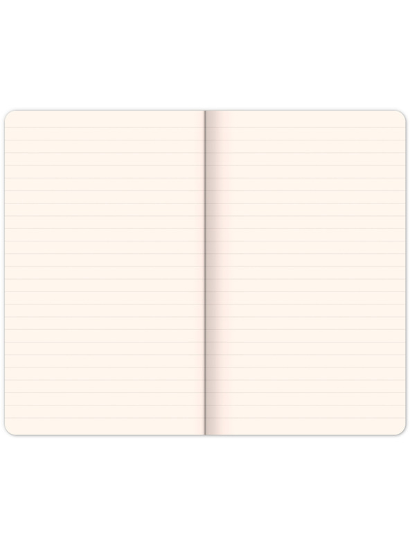 NOTIQUE NOTIQUE Notizbuch Pigeons of Katherine Winter, liniert, 13 x 21 cm BAAGL