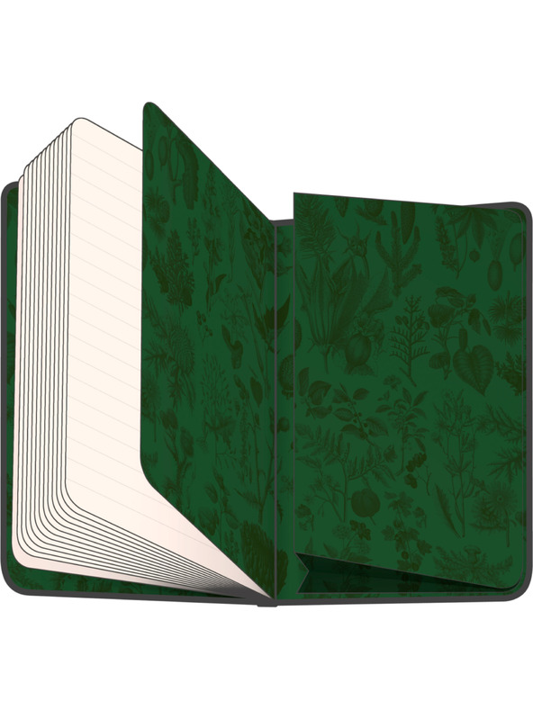 NOTIQUE NOTIQUE Notizbuch Pigeons of Katherine Winter, liniert, 13 x 21 cm BAAGL