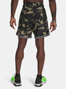 Under Armour Under Armour Herren Pjt Rck Mesh Short