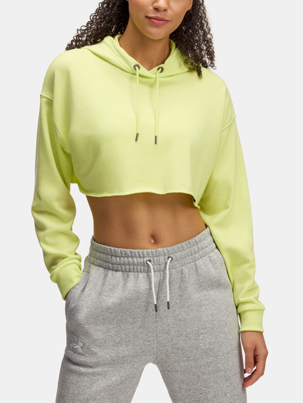 Under Armour Damen-Hoodie Under Armour UA Icon Terry Crop Hoodie