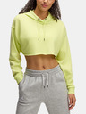 Under Armour Damen-Hoodie Under Armour UA Icon Terry Crop Hoodie