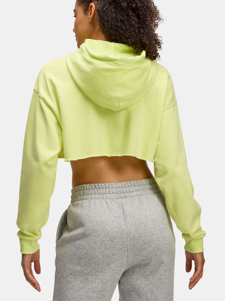 Under Armour Damen-Hoodie Under Armour UA Icon Terry Crop Hoodie
