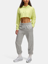 Under Armour Damen-Hoodie Under Armour UA Icon Terry Crop Hoodie
