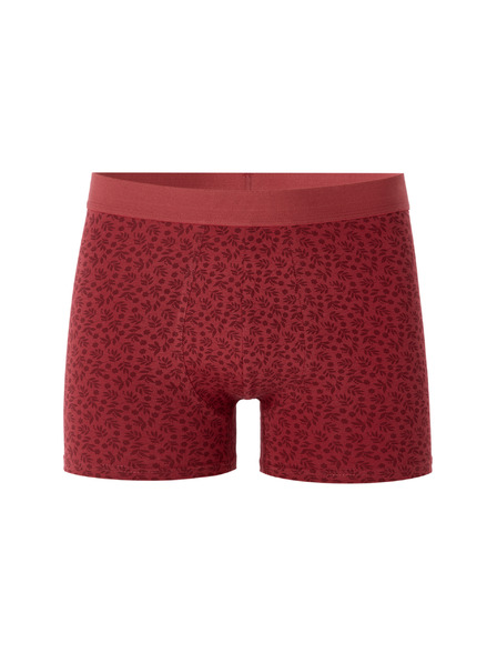 Celio Boxershorts Miboflori