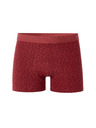 Celio Boxershorts Miboflori