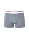 Celio Boxershorts Mike