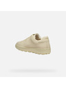 Geox Cremefarbene Herren-Sneaker Geox Spherica ECUB-1