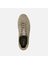 Geox Beige Herren-Sneaker Geox Flextride Plus