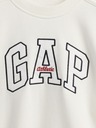 GAP Damen-Oversize-Crop-Sweatshirt VintageSoft Americana GAP