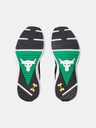 Under Armour Unisex Schuhe Under Armour UA Project Rock BSR 5 UFC