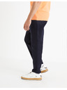 Celio Pants Dolinco 30