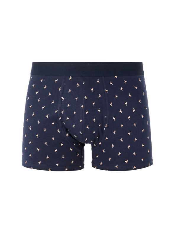 Celio Boxershorts Liboflam