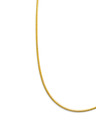 Edoti Kette - gold EDOTI