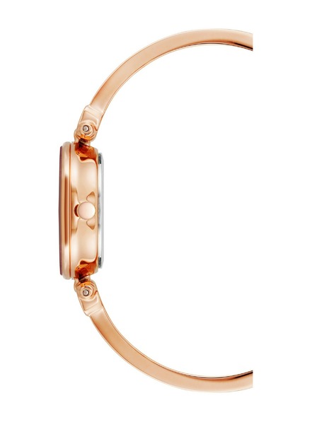 Anne Klein Damenuhren Anne Klein AK/1980BYRG