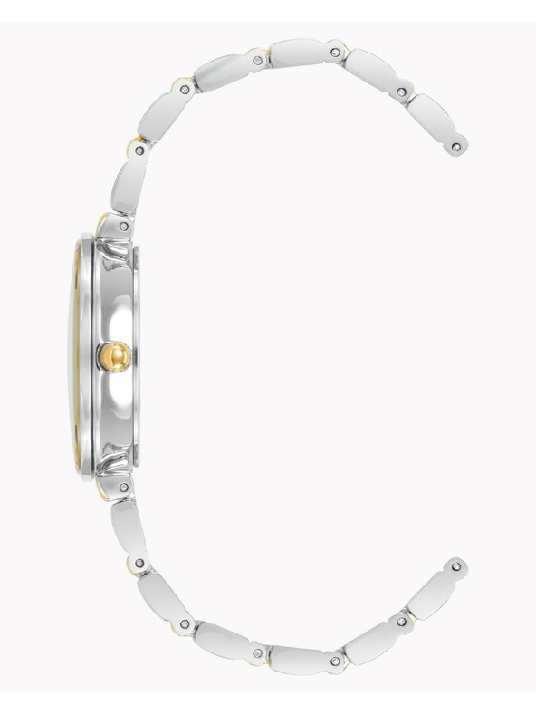 Anne Klein Damenuhren Anne Klein AK/2435SVTT