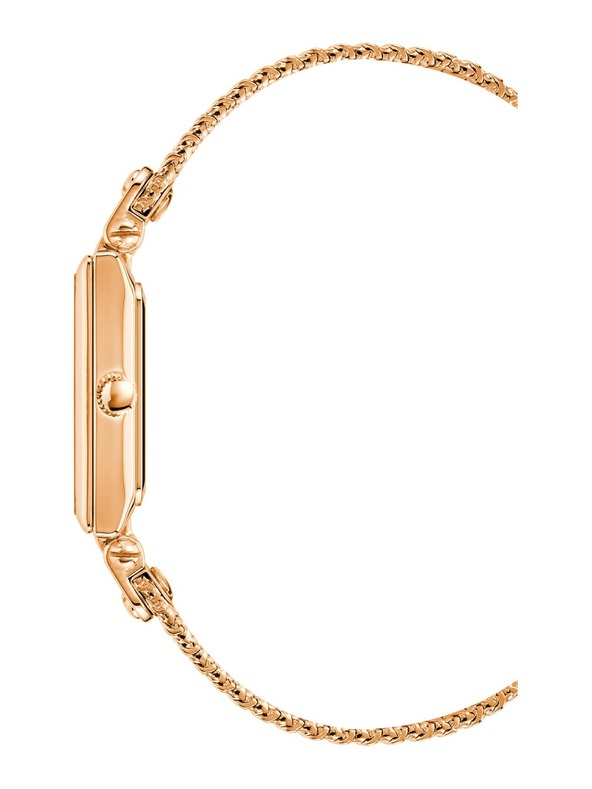 Anne Klein Damenuhren Anne Klein AK/3882RGRG