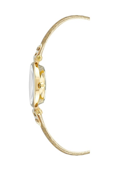 Anne Klein Damenuhren Anne Klein 10/9442CHGD