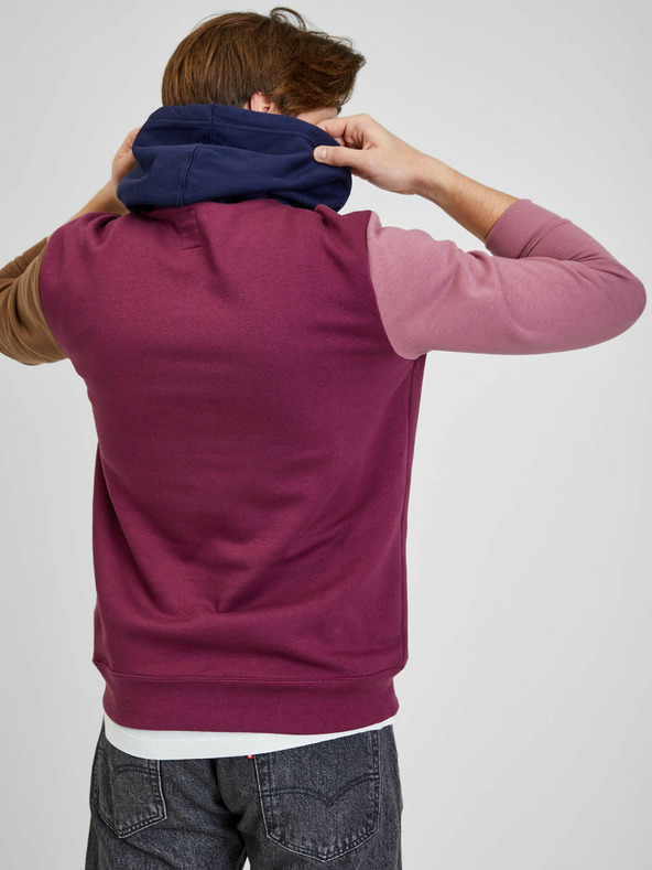 GAP Mehrfarbiges Sweatshirt mit Logo GAP