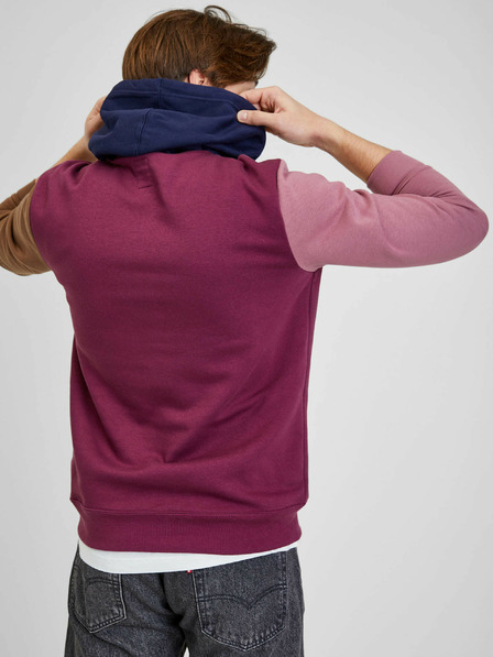 GAP Sweatshirt