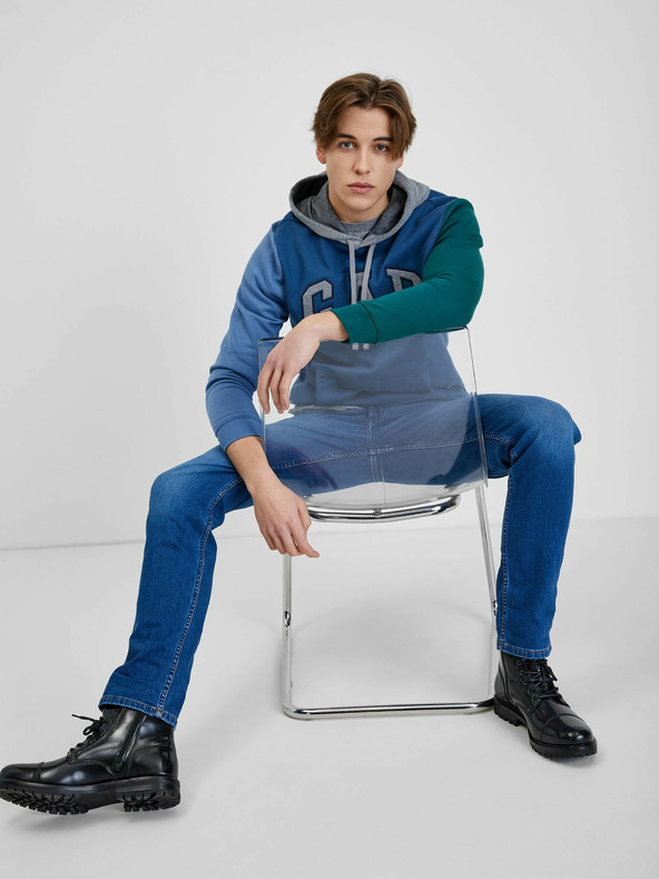 GAP Mehrfarbiges Sweatshirt mit Logo GAP