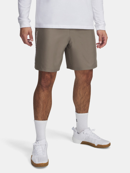 Under Armour Herren Under Armour UA Tech Woven Wordmark Short