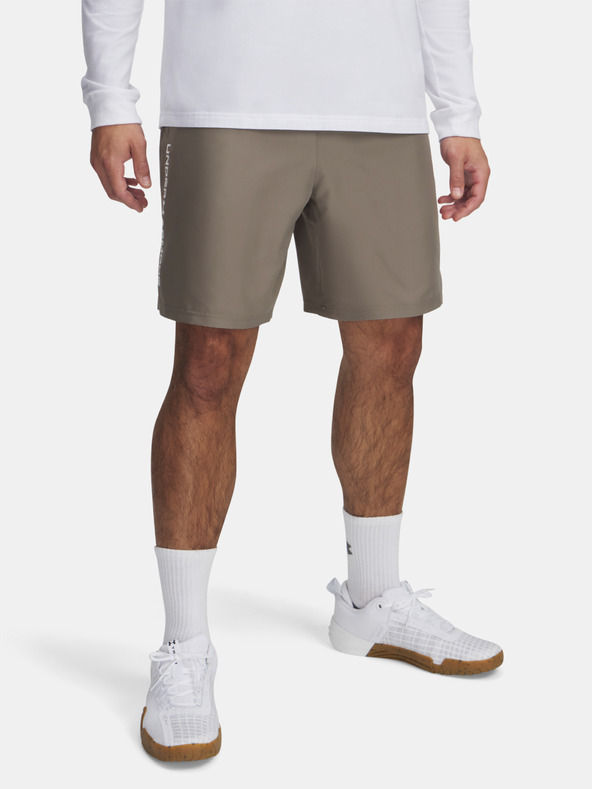 Under Armour Herren Under Armour UA Tech Woven Wordmark Short
