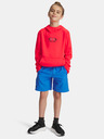 Under Armour Jungen Shorts Under Armour UA Vanish Shorts-BLU