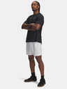 Under Armour Herren-Shorts Under Armour UA Tech Woven Wordmark Short-GRY