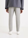 Celio Graue Herrenhose Celio 24H Avoclair