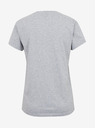 Sam 73 Hellgraues gestreiftes Damen-T-Shirt SAM 73 Lumiel